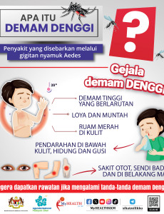 Apa itu Demam Denggi?